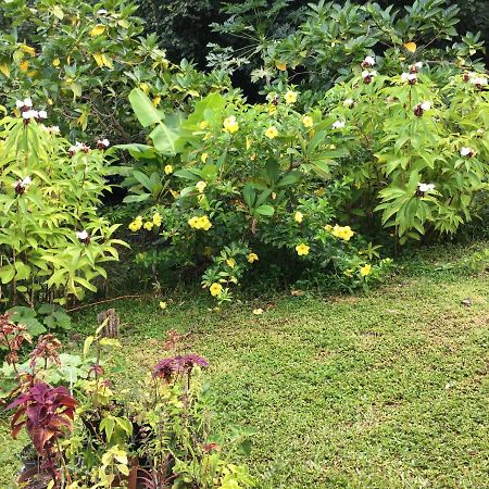 Pension Te Aroha - Te Haumaru Maatea Bagian luar foto